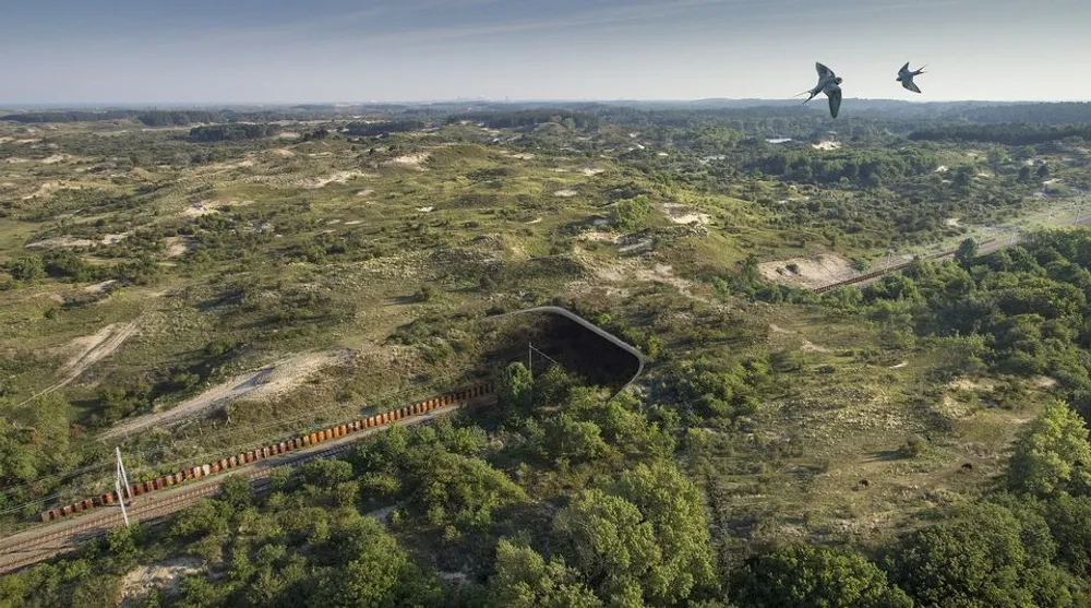 ecoduct_duinpoort-960w.jpg